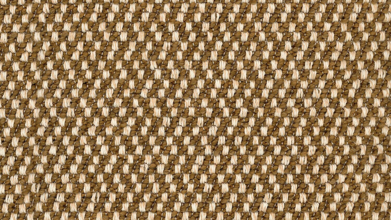 calyra 1000090544