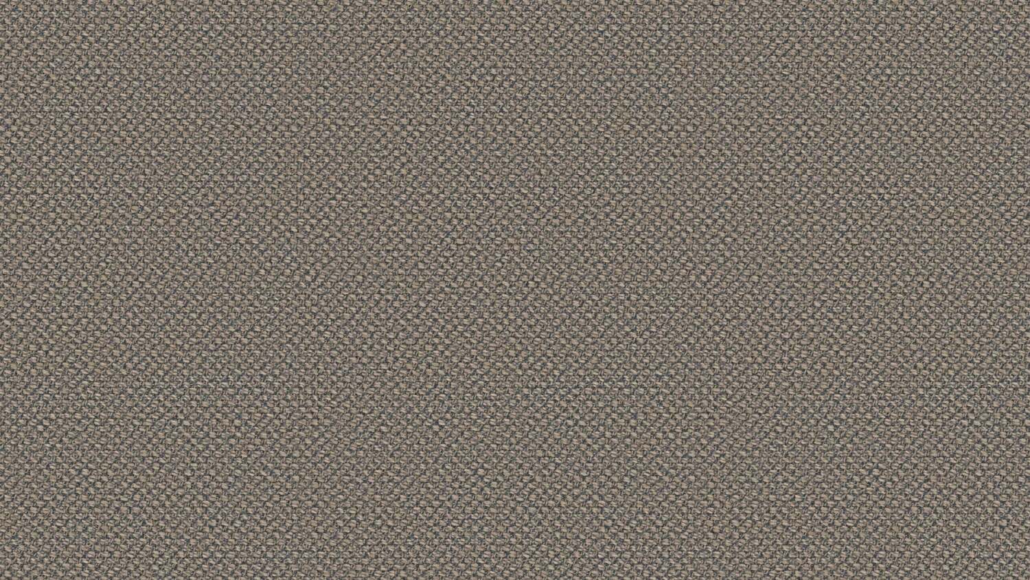 mesh 0000027980