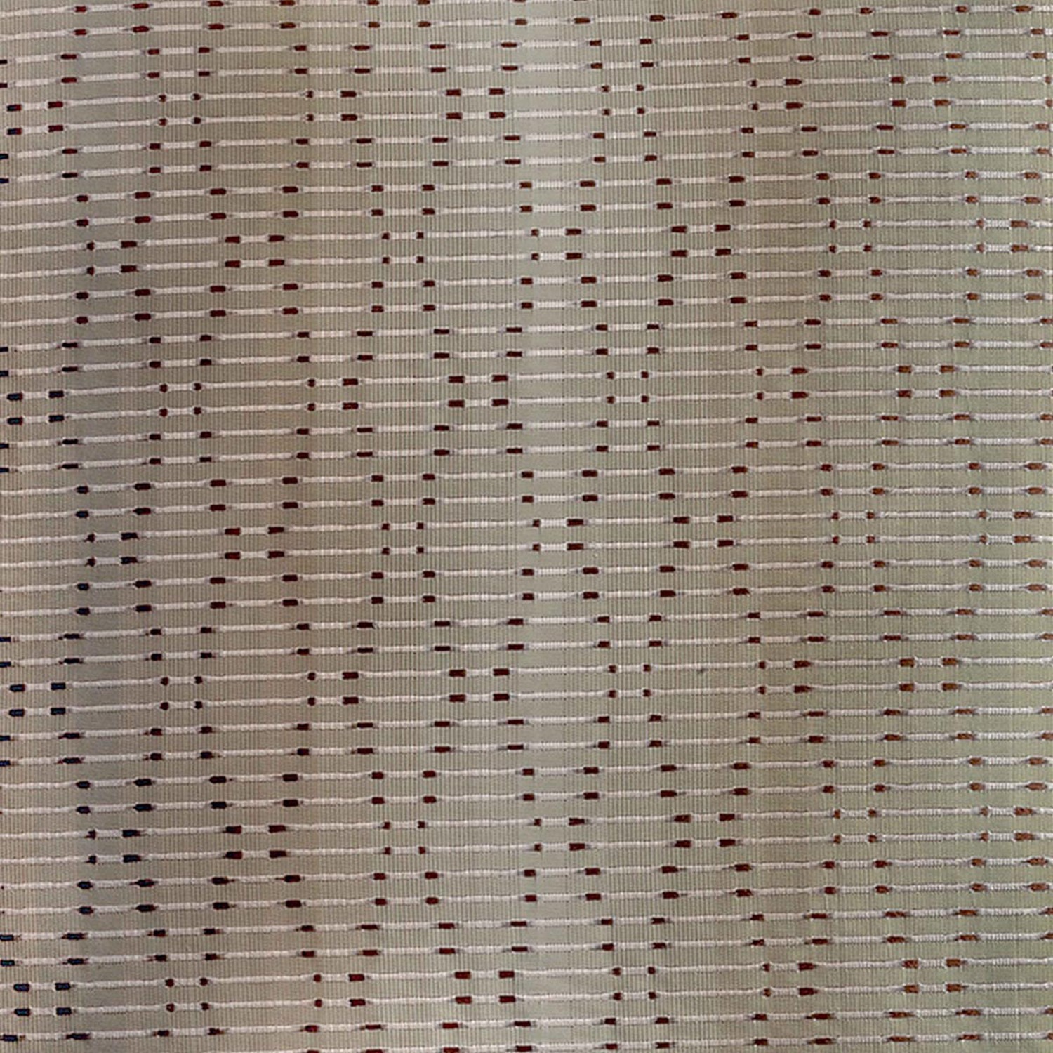 BAY LEAVE
