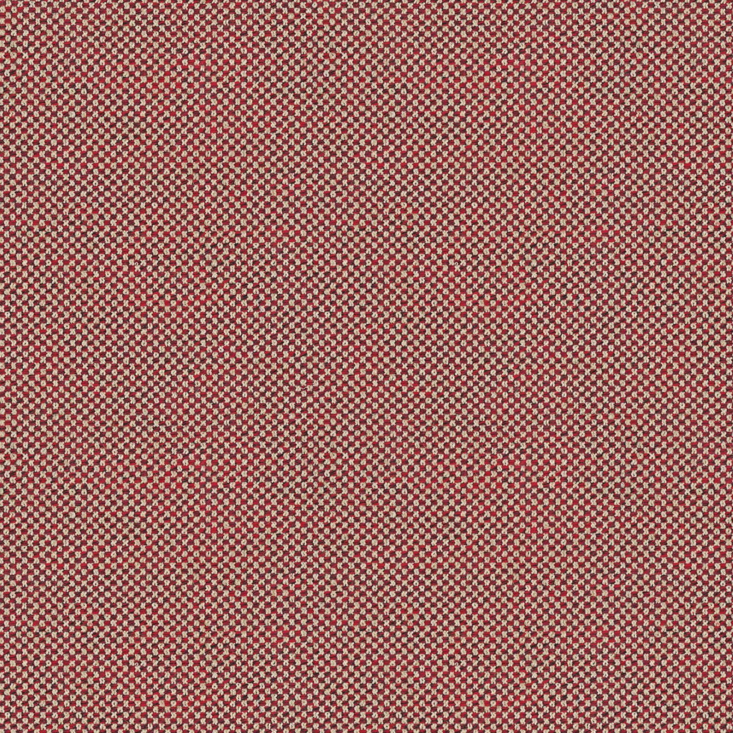 429.058