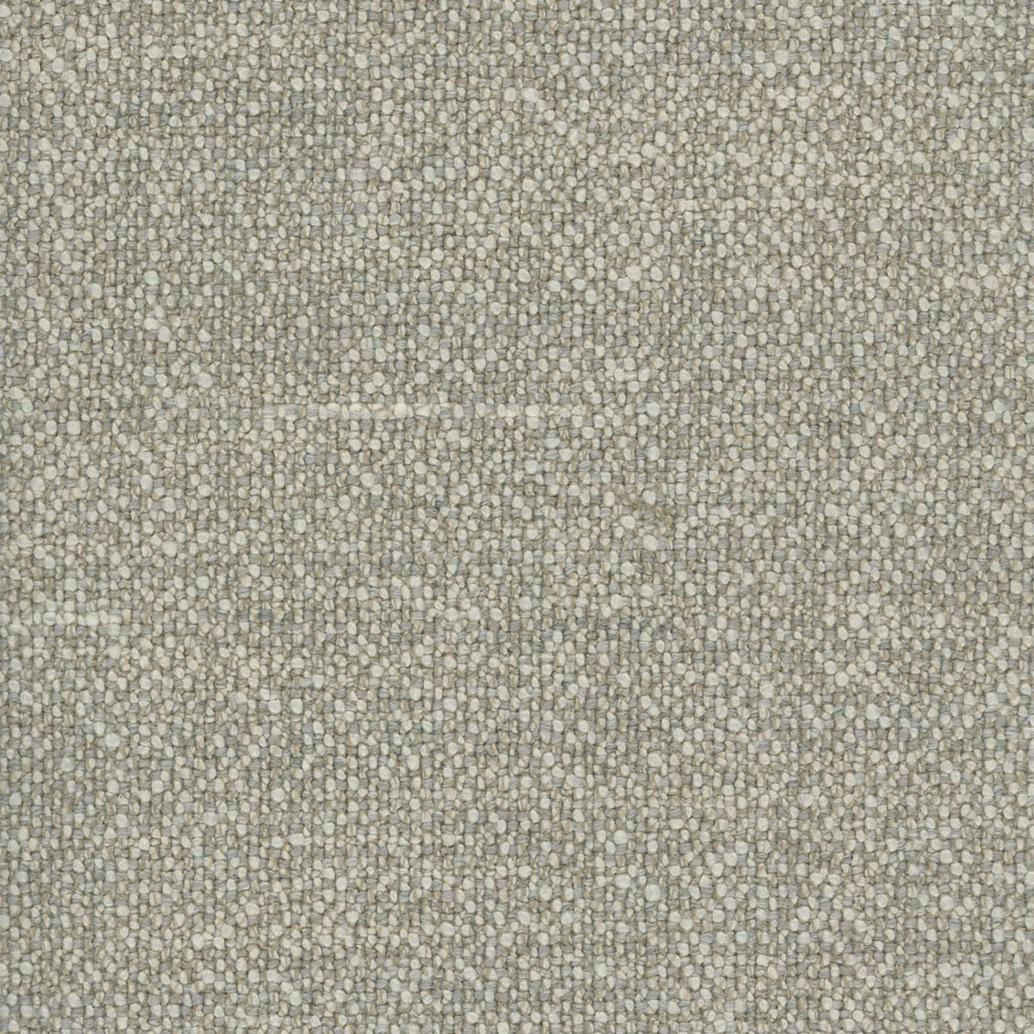 SANDY SILVER