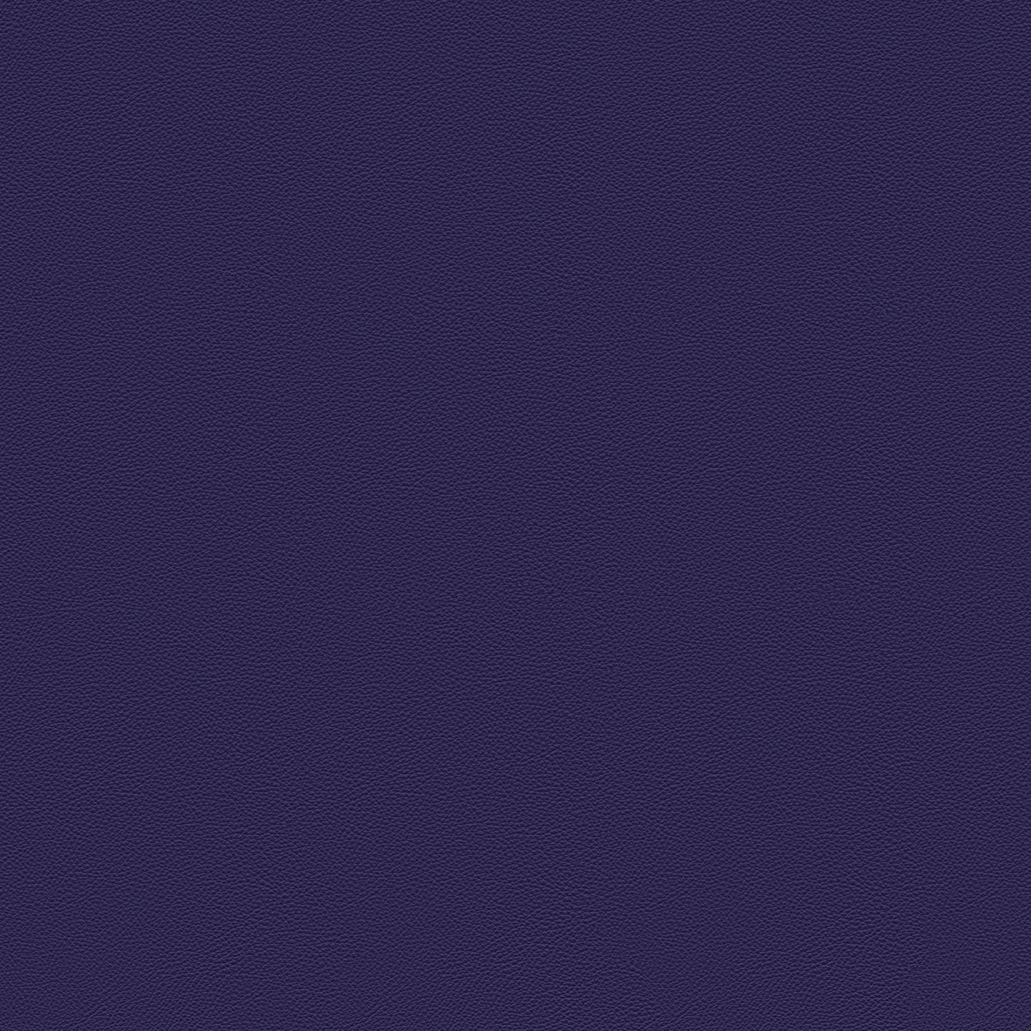 255
